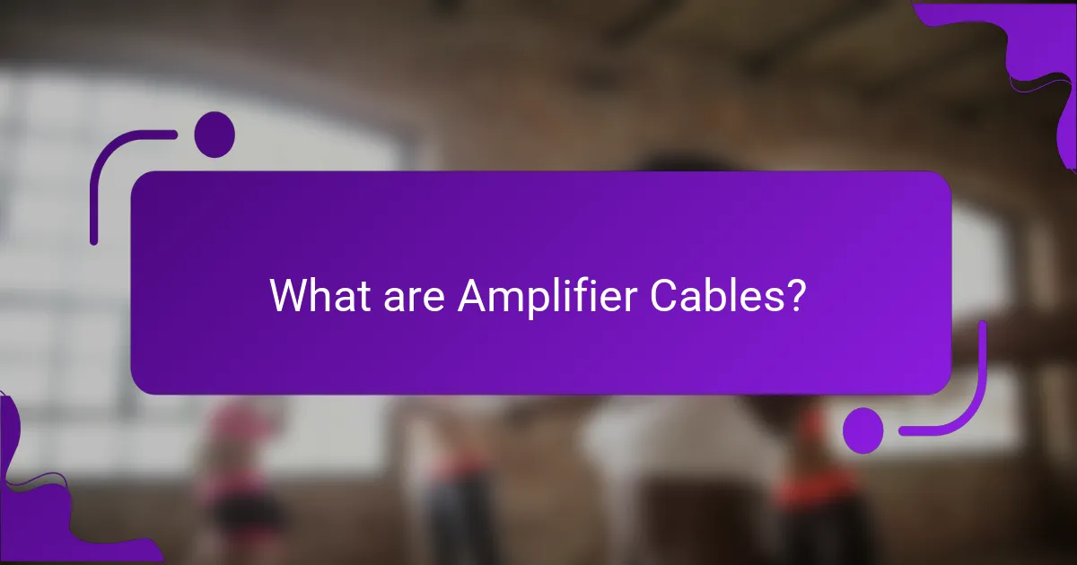 What are Amplifier Cables?