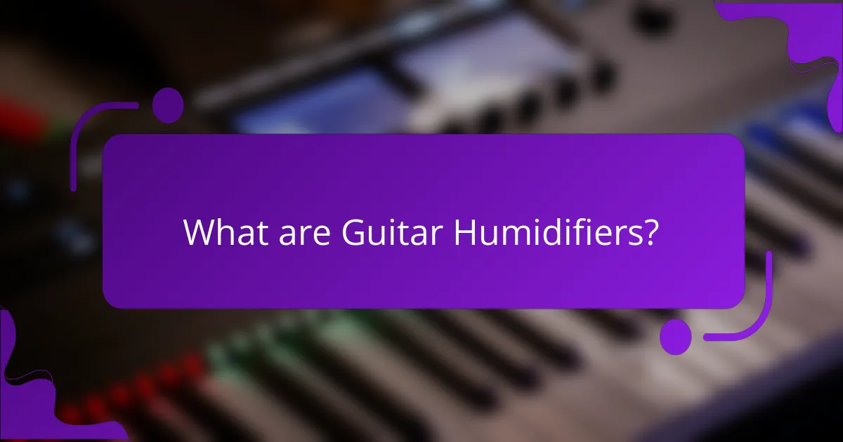 What are Guitar Humidifiers?