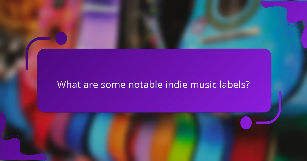 What are some notable indie music labels?