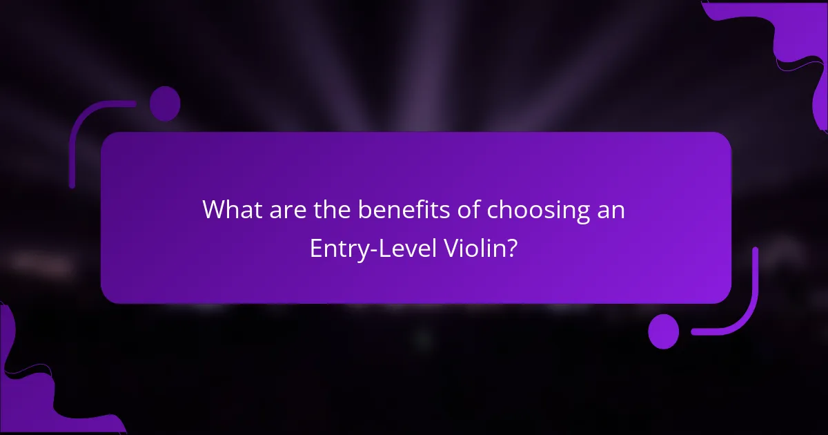What are the benefits of choosing an Entry-Level Violin?