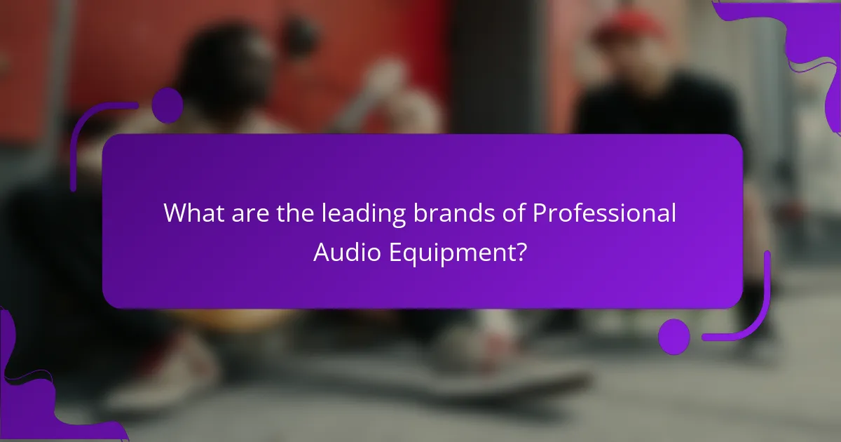 What are the leading brands of Professional Audio Equipment?