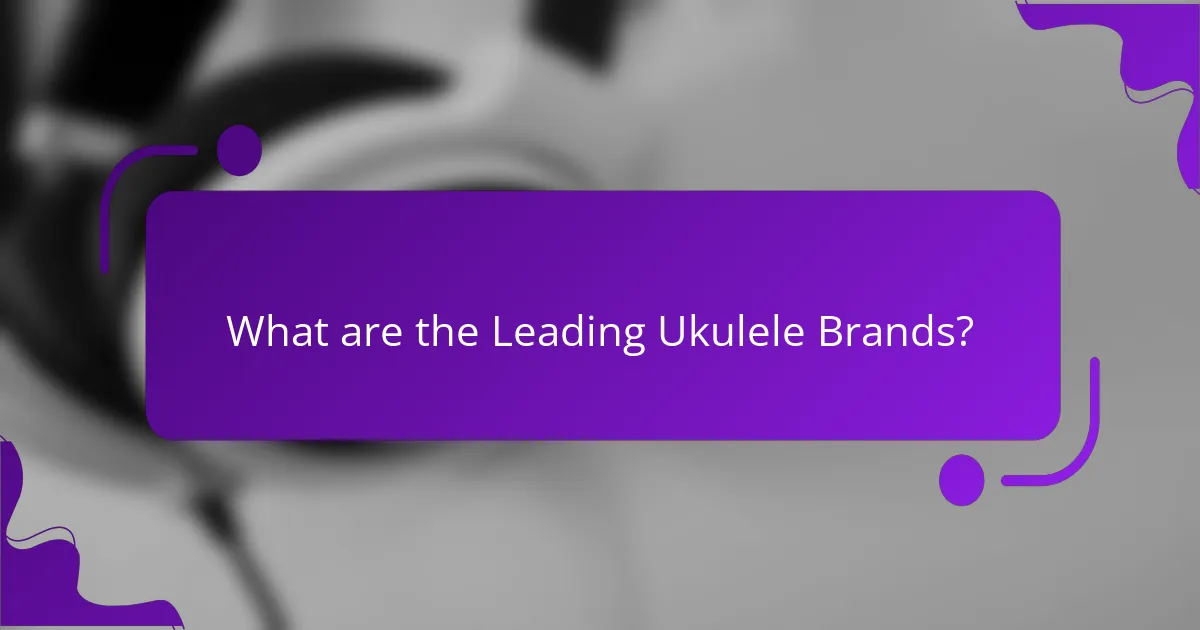 What are the Leading Ukulele Brands?