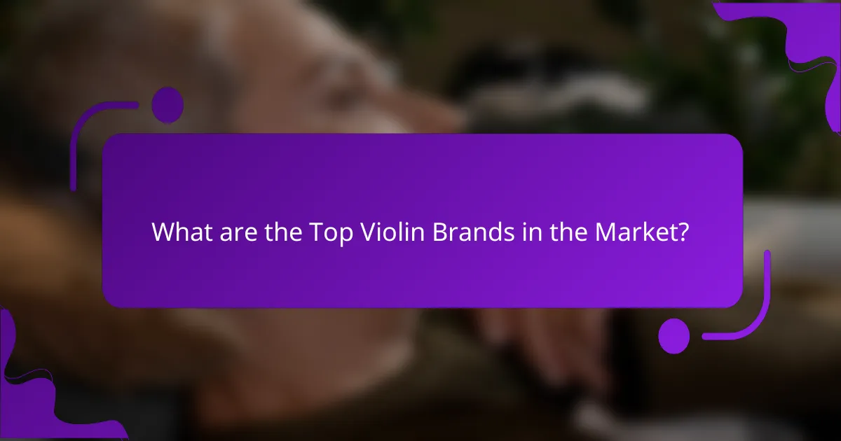 What are the Top Violin Brands in the Market?