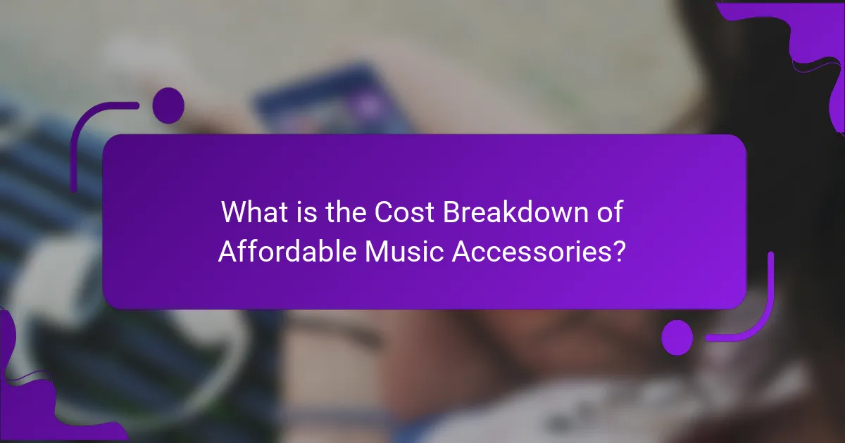 What is the Cost Breakdown of Affordable Music Accessories?