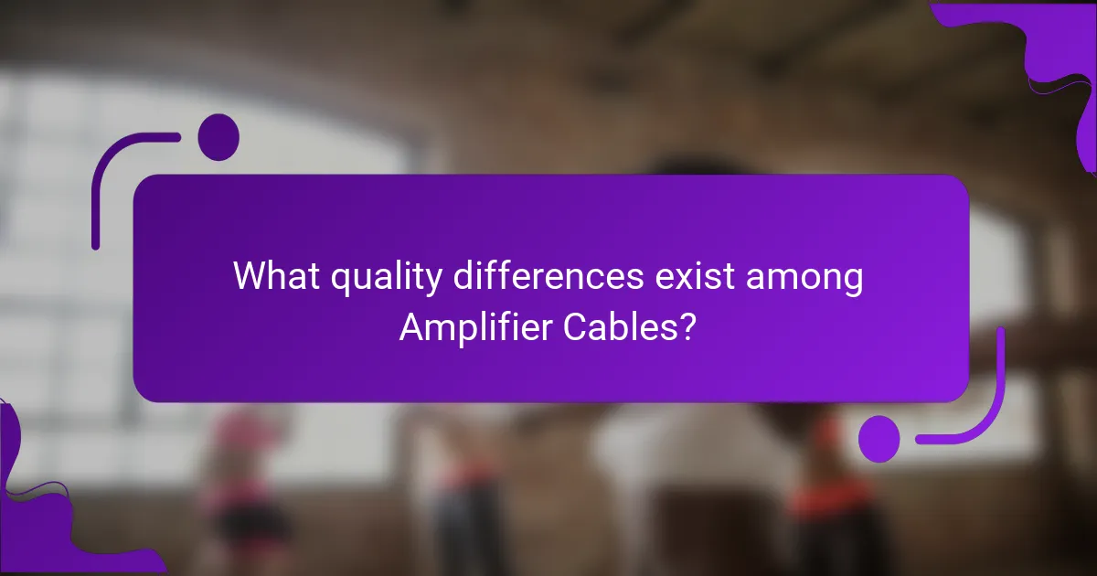 What quality differences exist among Amplifier Cables?