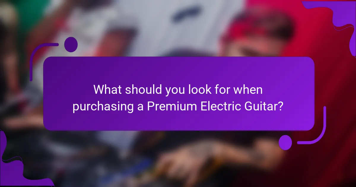 What should you look for when purchasing a Premium Electric Guitar?