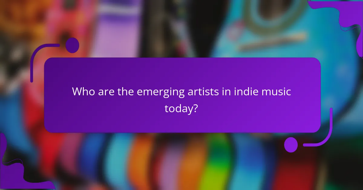Who are the emerging artists in indie music today?
